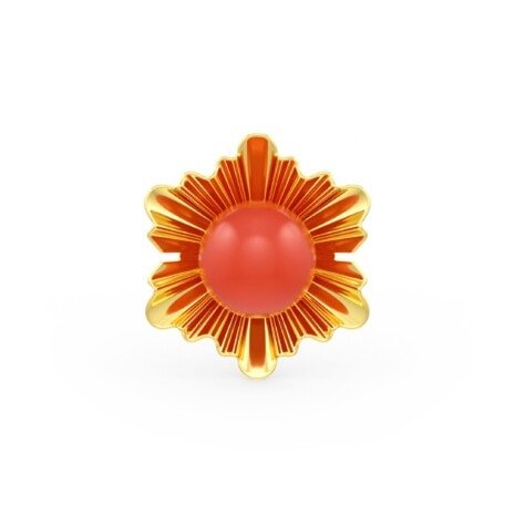 SER-30881 (1) SER-30881 (1)