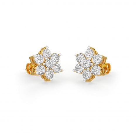 1 Diamond Traditional Kudi