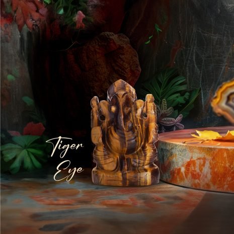 1000X1000_Tiger-Eye 1000X1000_Tiger-Eye